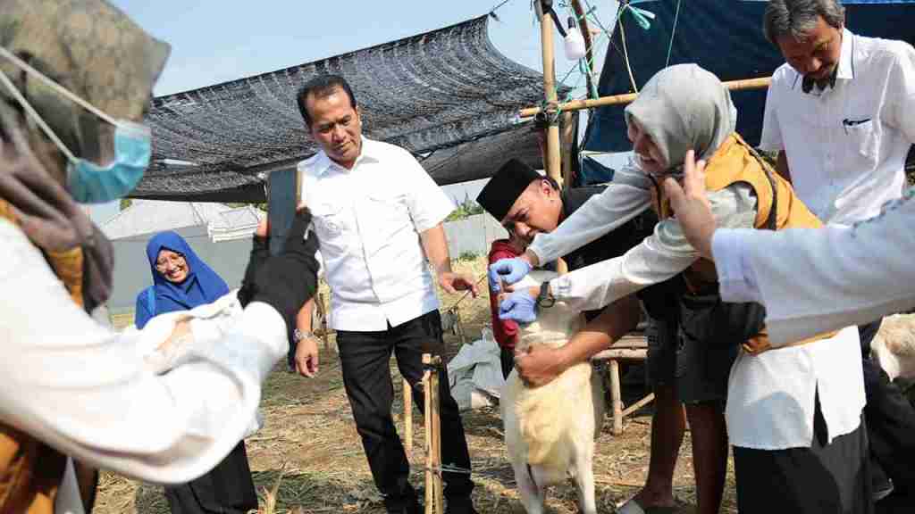 Penjualan Hewan Kurban di Probolinggo Landai, Nurkholis Pastikan Standar ASUH&nbsp;Terpenuhi