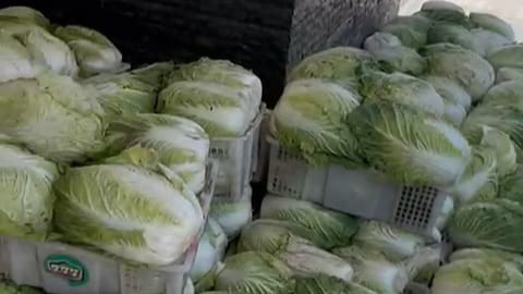 Wisatawan Bromo Sumringah Dapat Sayur Gratis dari&nbsp;Petani